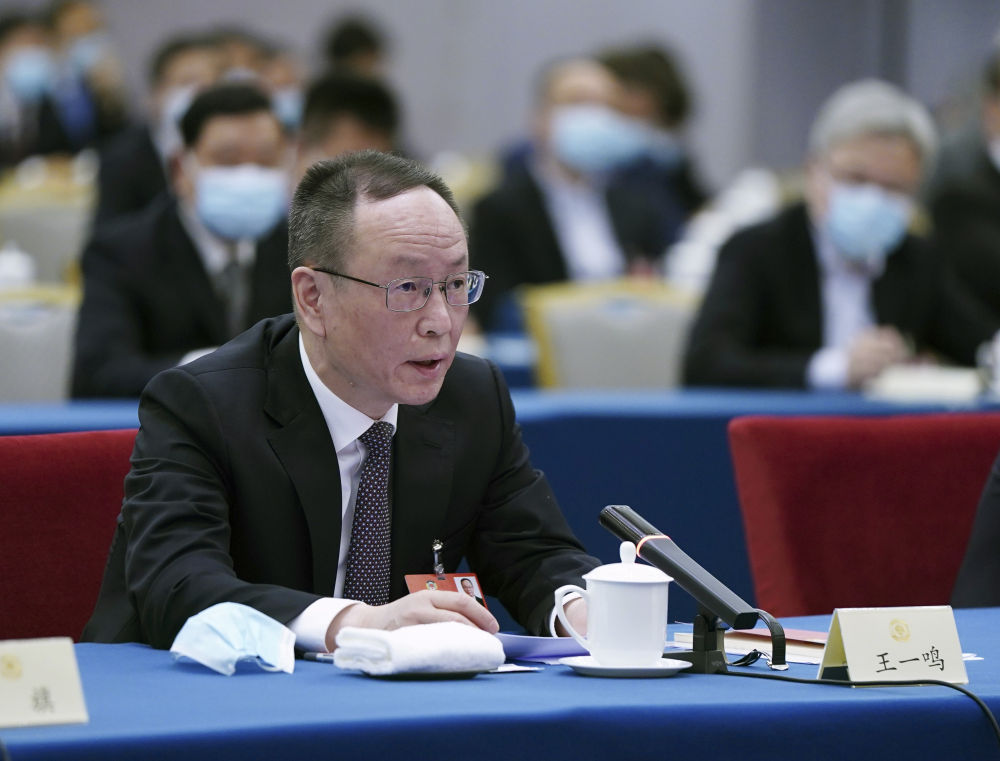 5月23日，全國政協(xié)委員王一鳴在經(jīng)濟界聯(lián)組會上發(fā)言。新華社記者　謝環(huán)馳　攝